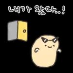 겨울철 부실감자 냉해주의