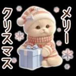 冬の猫のスコティッシュ【よく使う言葉】