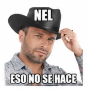 NEL ESO NO SE HACE - getsticker.com