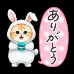 秋冬 毎日使える コスにゃんず 日常