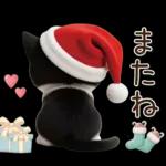 可愛いハチワレ猫 サンタ帽 冬 気づかい