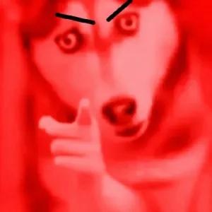 TZwkAw