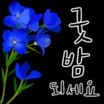 다정한 꽃편지 인사