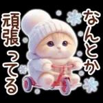 冬の猫のスコティッシュ【よく使う言葉】