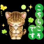 猫まみれのやさしい日常【春】