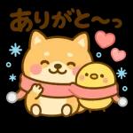 あったか柴犬の冬ごあいさつ