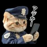 リアル猫警察官