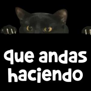 que andas haciendo - getsticker.com