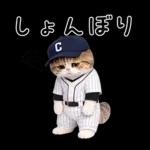 野球をする猫