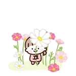 언제 올 거야? 🥺