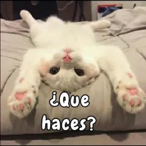 ¿Que haces? - getsticker.com