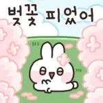 봄봄봄 ~ 봄이 왔어요