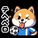 サッカー大好きな柴犬
