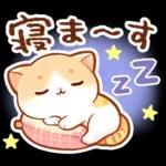 毎日♡猫ちゃんず【連絡・今何してる？】