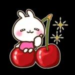 うさぎさん 春・梅雨・初夏