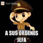 SE BUSCAN PRINCESAS PARA ESTÁS CORONAS