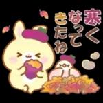 うさくまカフェ☕美味しい秋の実りフェア