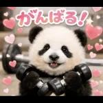 だいすきパンダ