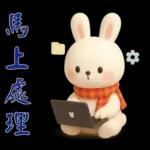 可愛白兔-實用短語