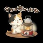 三毛猫の冬のあいさつ