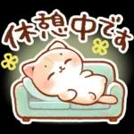 毎日♡猫ちゃんず【連絡・今何してる？】