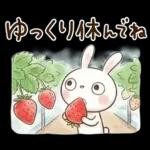 やさしい春の毎日♡ふんわかウサギ