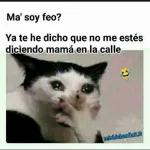 @iancordero093 De un comentario de TikTok