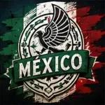 Se agregaron nuevos stickers de fútbol