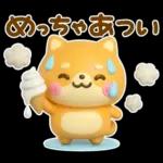 夏にかわいい♡豆柴日和
