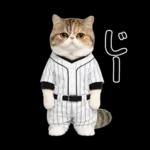 野球をする猫