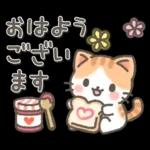 やさしい日常ことば♡ねこ