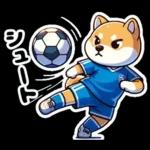 サッカー大好きな柴犬