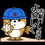 飛び出す！豆柴「野球と日常」