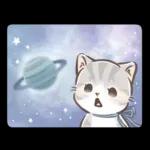 毎日使える♡大人可愛いガーリーキャット2