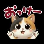 三毛猫の冬のあいさつ