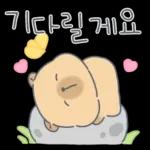 카피바라 카니의 상냥한 하루3