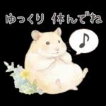 ゴールデンハムスター♡キンクマ