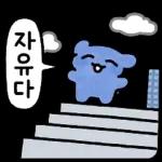 개강한 파댕이의 대학생활