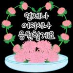 가정의 달 꽃 선물