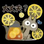 黒ねこの秋・冬便り