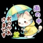 猫のつめあわせ【夏】