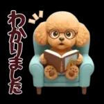 【秋冬】ずっと使える❤️日常会話 トイプー