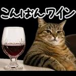 キジトラ猫飼いさんのダジャレ