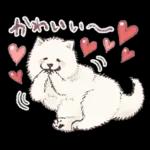 かわいい〜