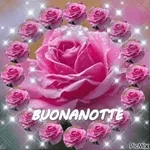 Notte a domani