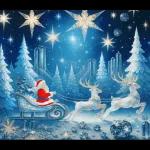 夢のクリスマス☆年末年始