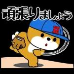 飛び出す！豆柴「野球と日常」