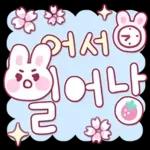토끼토끼토끼 토끼글씨!!