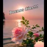 Buenos días!!!