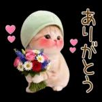 ずっと使える メロン帽が可愛い 猫とウサギ